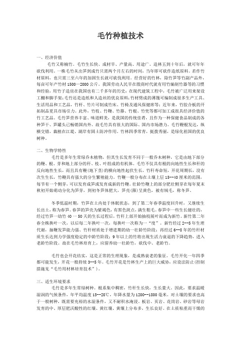 毛竹种植技术