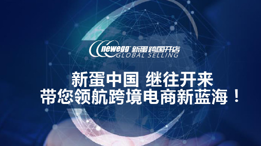 美国新蛋网newegg全球开店项目介绍
