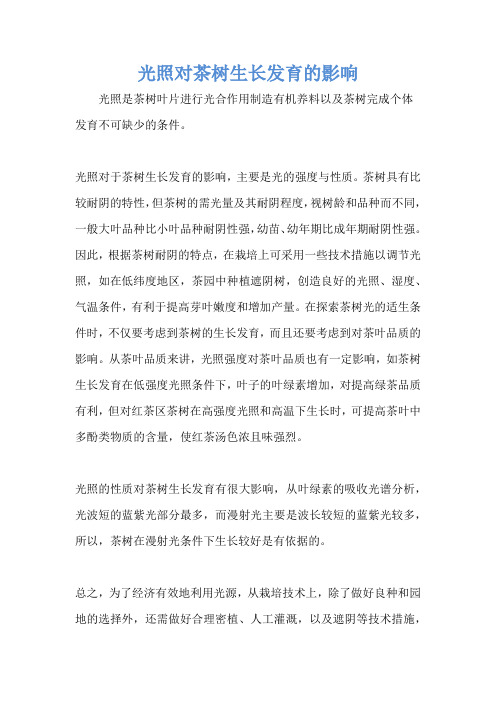 光照对茶树生长发育的影响