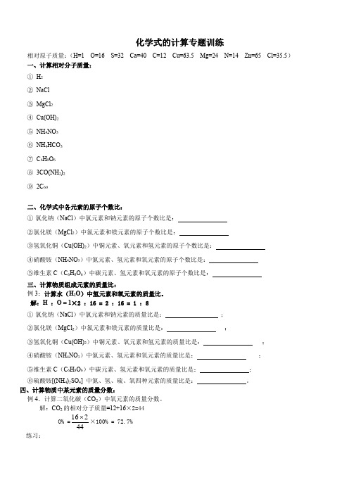 化学式的计算专题训练 浙教版八年级下册科学 