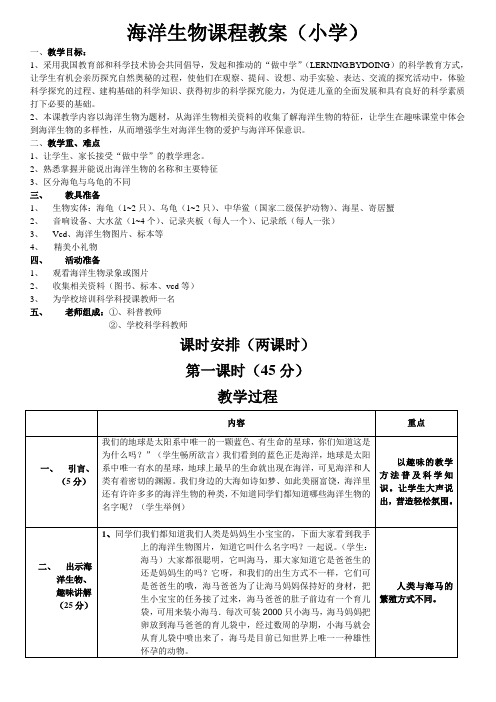 海洋馆小学海洋生物课程教案