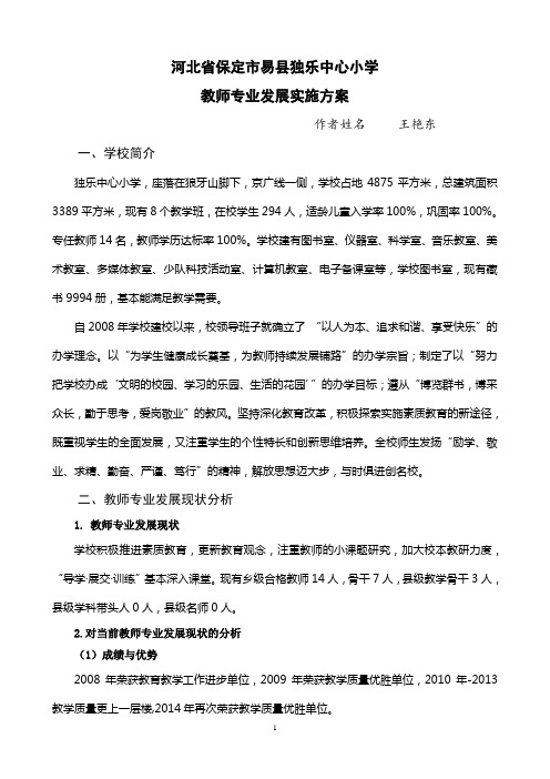 教师专业发展实施方案
