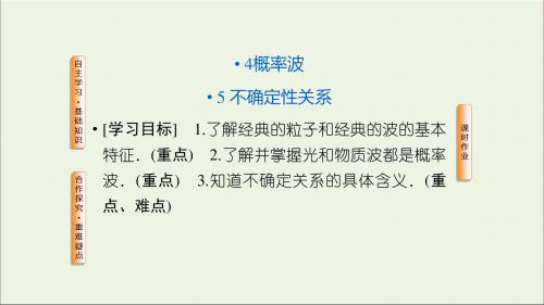 2019高中物理第十七章波粒二象性45概率波不确定性关系课件新人教版