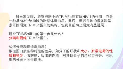 5.3 血红蛋白的提取和分离  课件 (36张PPT)
