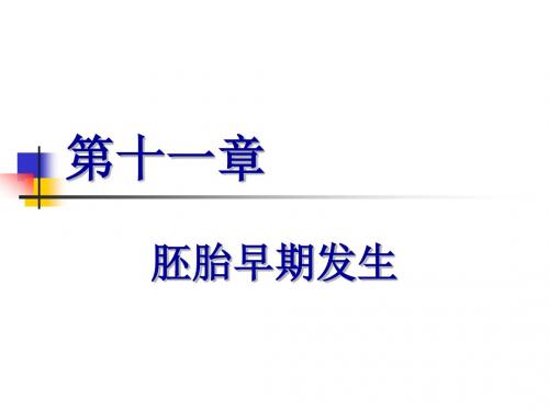 人胚胎发生概要(一)