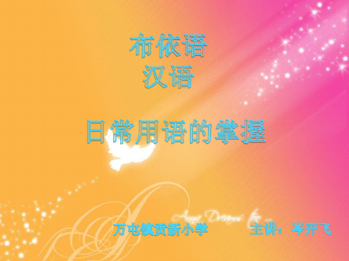 布依语汉语双语教学-PPT
