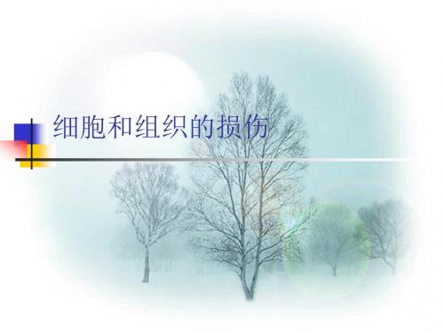 细胞和组织的损伤
