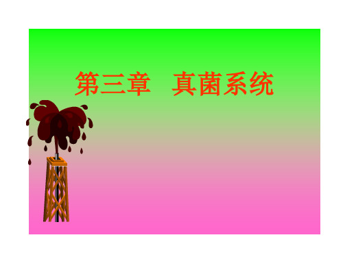 第三章 真菌系统