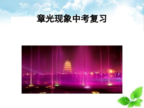 中考物理复习：光现象ppt