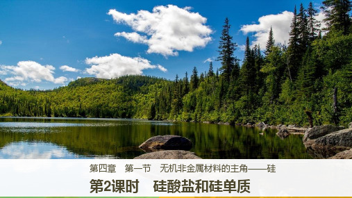 化学《学案导学与随堂笔记》人教版必修一课件：第四章 非金属及其化合物 第一节 第2课时