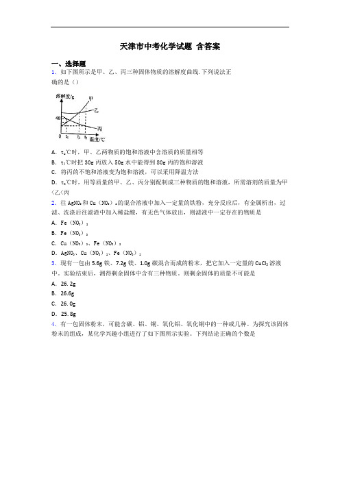天津市中考化学试题 含答案