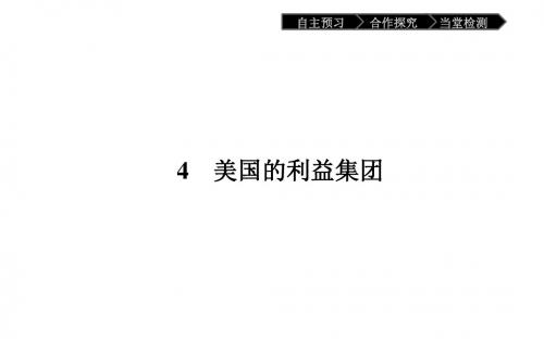 高二政治(人教版)选修3课件：3.4美国的利益集团