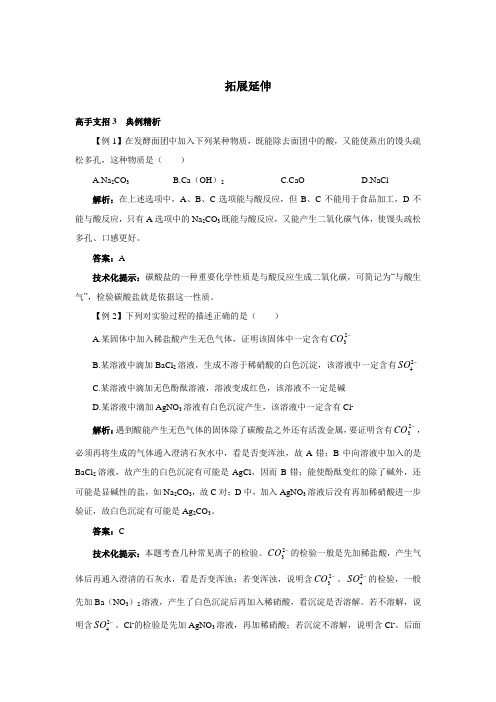 最新人教版九年级化学下册第十一单元《生活中常见的盐》典型例题