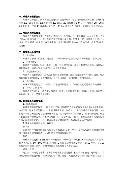 珍珠鸡技术