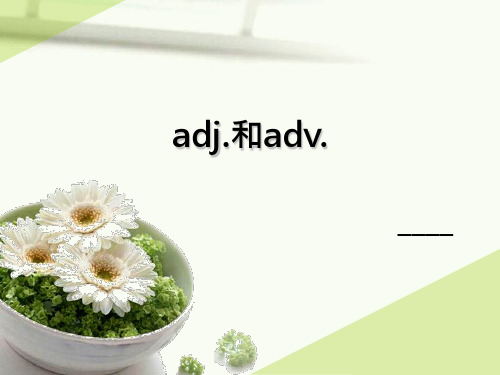 adj和adv.