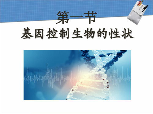 7.2.1 生物基因控制生物的性状课件精品公开课课件