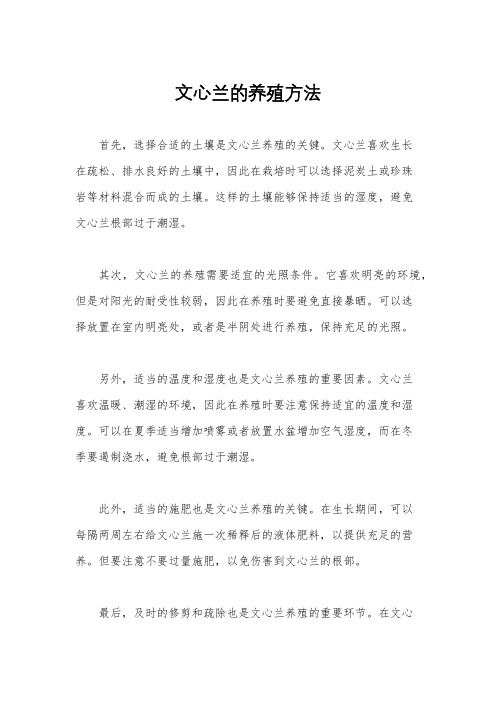 文心兰的养殖方法