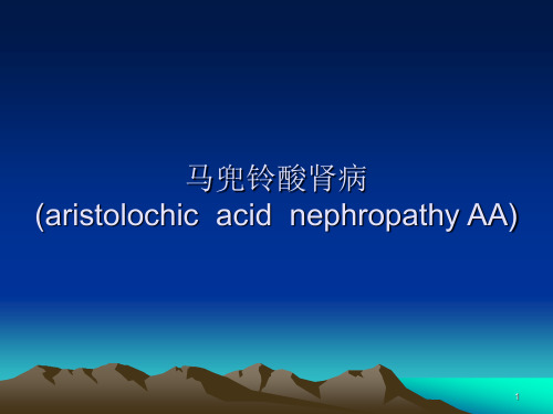 马兜铃酸肾病ppt课件