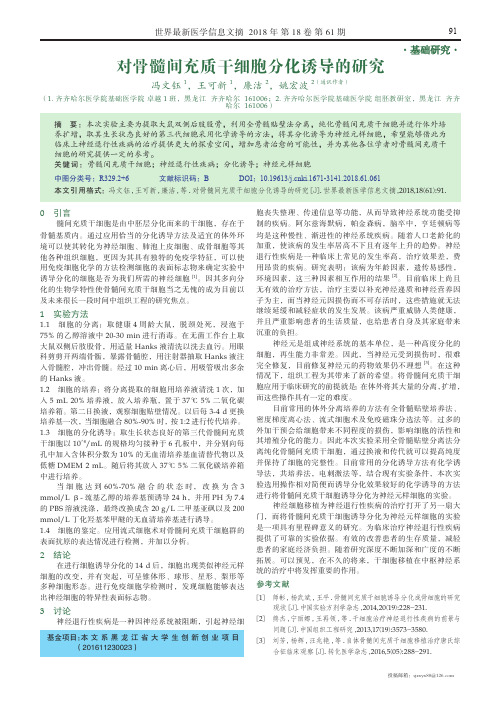 对骨髓间充质干细胞分化诱导的研究