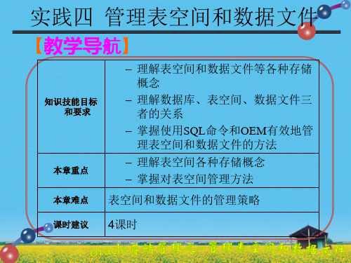 课件：实践四 管理表空间和数据文件