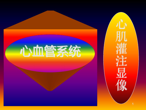 心肌灌注显像PPT参考幻灯片
