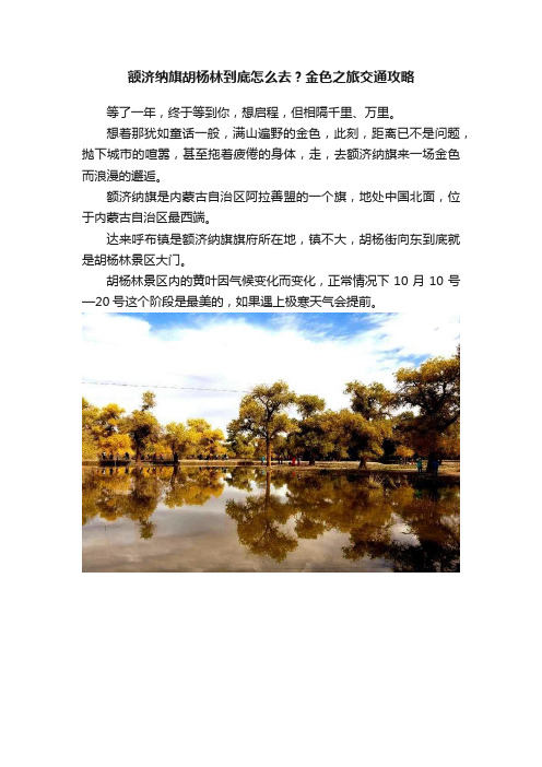 额济纳旗胡杨林到底怎么去？金色之旅交通攻略