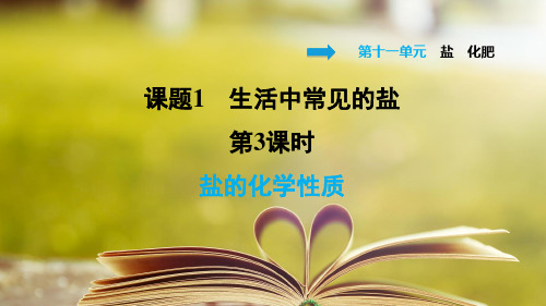人教版化学九年级下册第十一单元《盐  化肥》11.1.3 盐的化学性质
