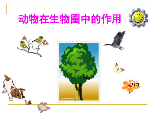 初中生物《动物在生物圈中的作用》ppt