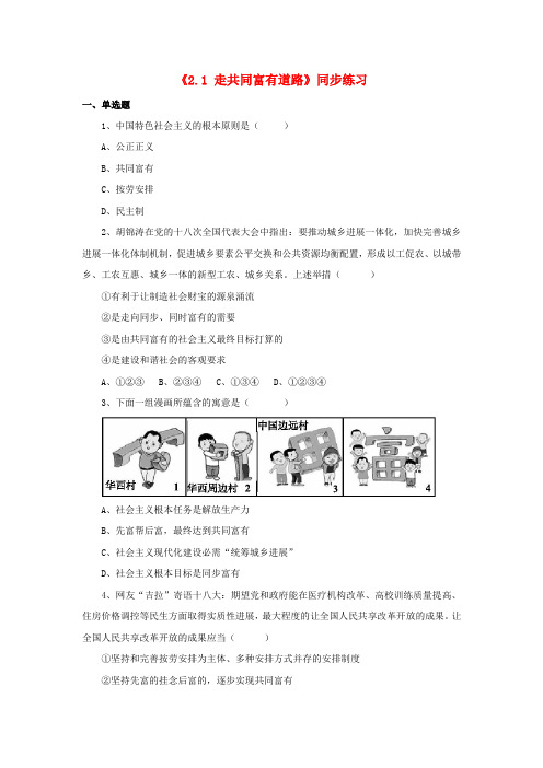 九年级政治全册 第二单元 共同富裕 社会和谐 2.1 走共同富裕道路同步练习3 粤教版