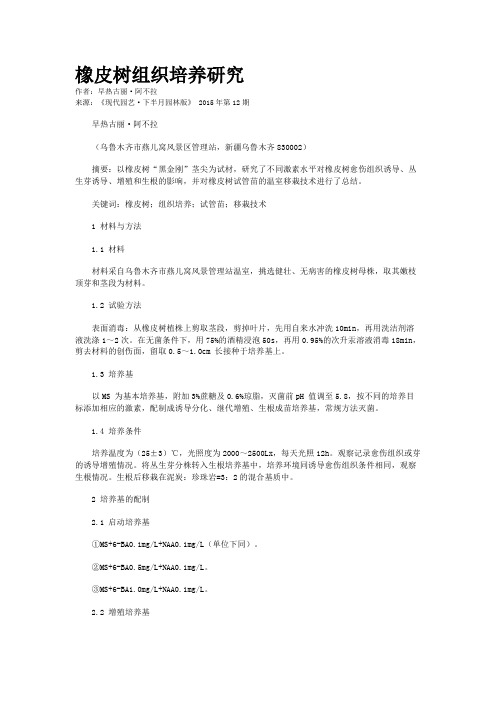 橡皮树组织培养研究