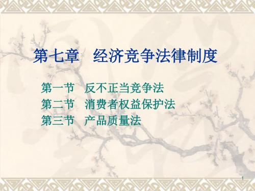 经济竞争法律制度课件