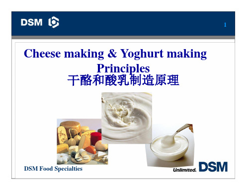 干酪和酸乳制造原理DSM (2).ppt