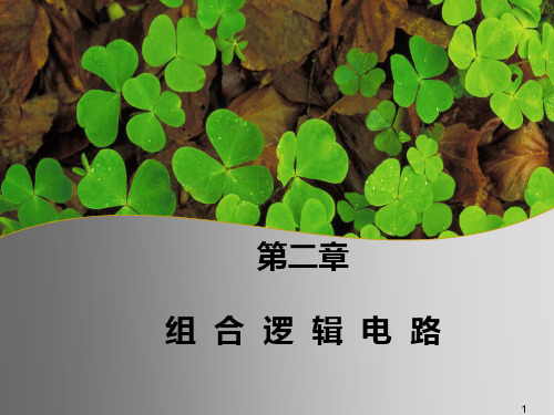 数字逻辑7第二章1syxPPT课件