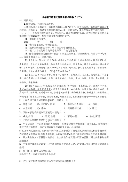 八年级下册语文阅读专项必刷卷13 试卷(含答案)