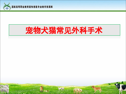 工作任务24-1宠物犬猫常见外科手术.