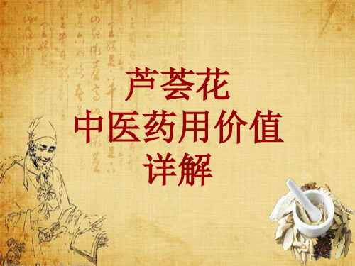 中药学_芦荟花_药材详解课件模板