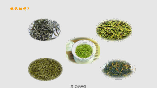 中国十大名茶PPT课件
