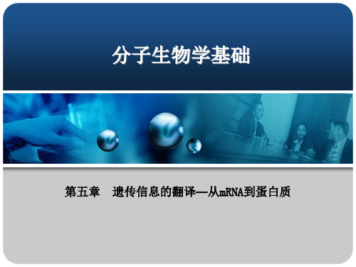 分子生物学基础PPT第五章