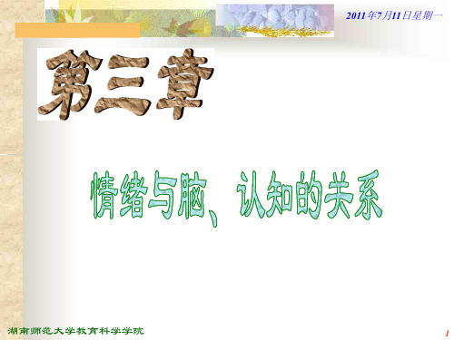 情绪心理学 课件-第三章 情绪与脑