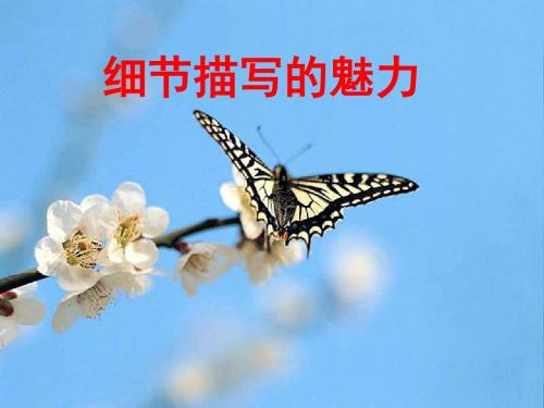初中作文授之以渔——如何写好细节描写ppt