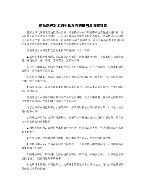 高温热害对水稻生长发育的影响及防御对策