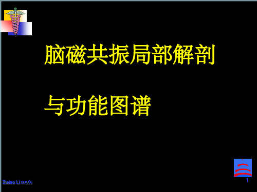 头颅磁共振图谱