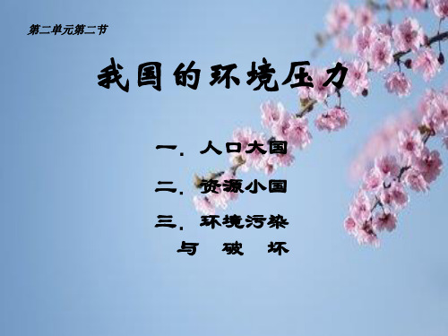 我国的环境压力PPT精品课件