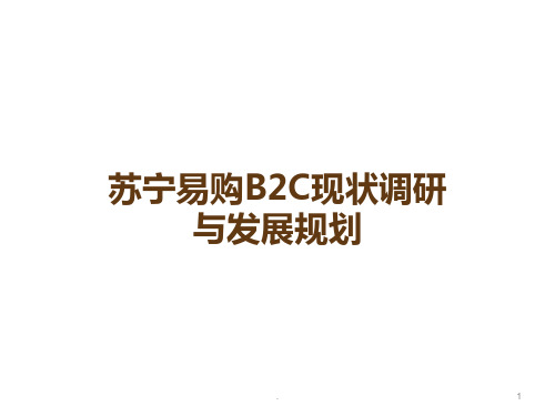 苏宁易购BC现状调研与发展规划PPT课件