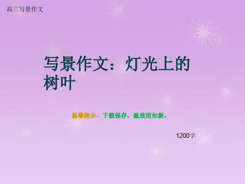 高三写景作文《写景作文：灯光上的树叶》1200字