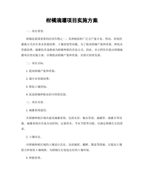 柑橘滴灌项目实施方案