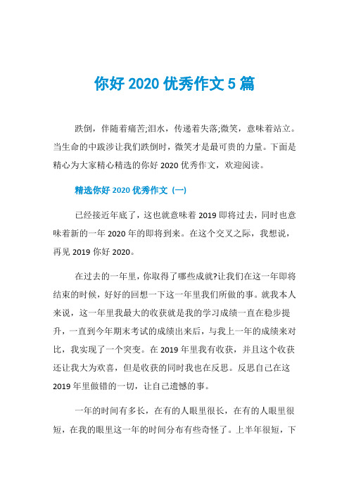 你好2020优秀作文5篇