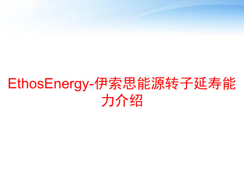 EthosEnergy-伊索思能源转子延寿能力介绍 ppt课件
