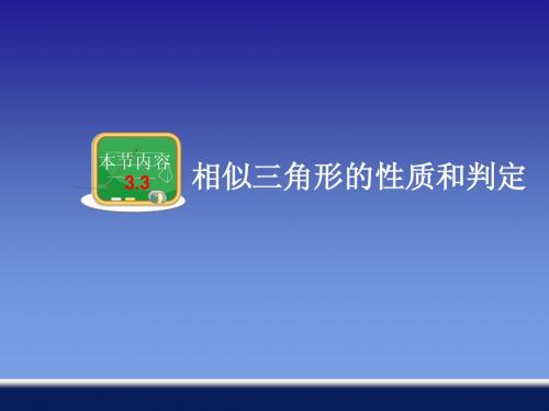 3.3 相似三角形的性质和判定