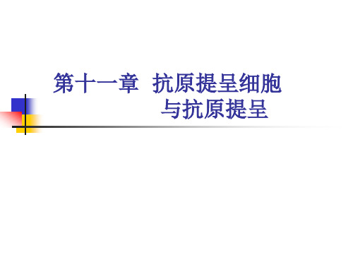 医学免疫学 抗原的加工与递呈